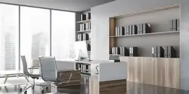 Furniture & Furnishing